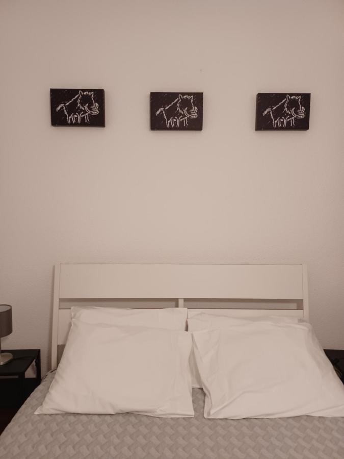 De Cá - suite com acesso independente e kitchenette Lousã Buitenkant foto